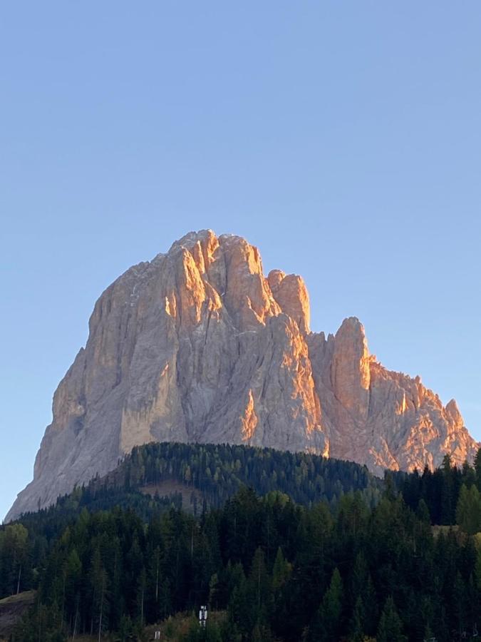 Apartments Mezdi Santa Cristina Val Gardena Eksteriør billede